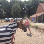 Paardencoaching