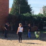 Paardencoaching
